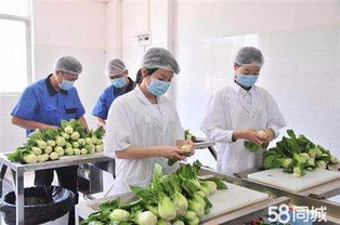 广州生活配送服务新篇章 整合产业链提升居民日常生活质量