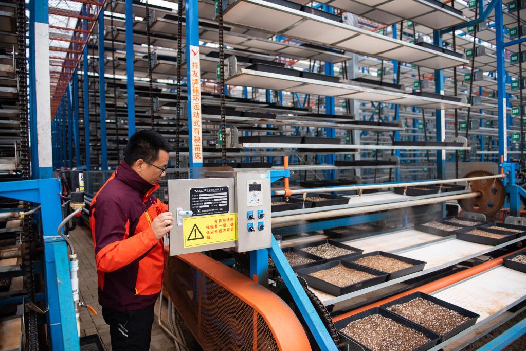 春耕新画卷 湖南水稻大省的“保姆式”服务、智能工厂与连片沃土